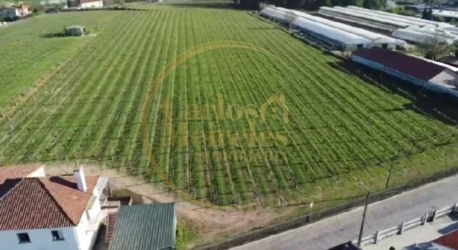 Terreno para Venda em Varzea Foto 3