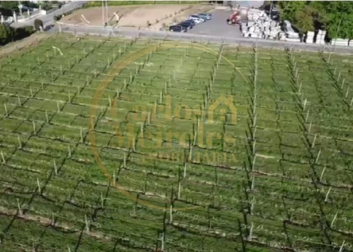 Terreno para Venda em Varzea Foto 4
