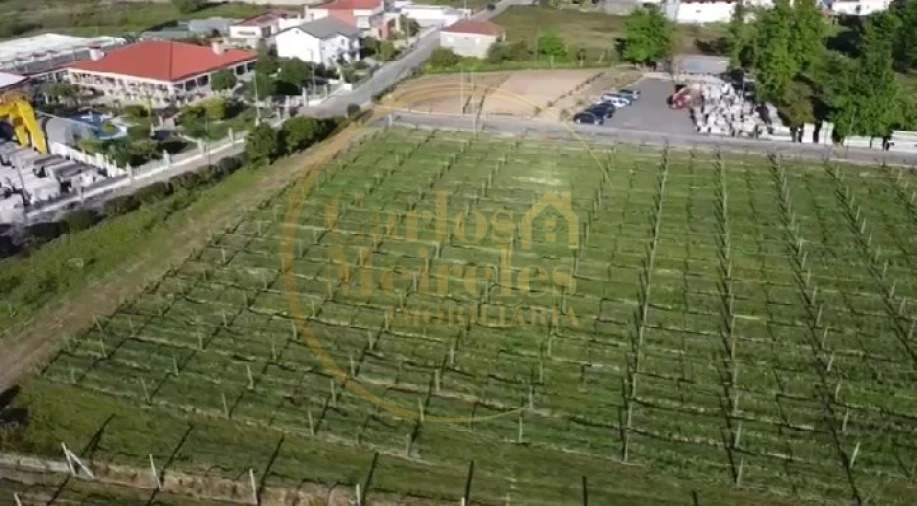 Terreno para Venda em Varzea Foto 5