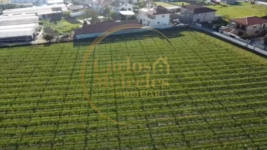 Terreno para Venda em Varzea