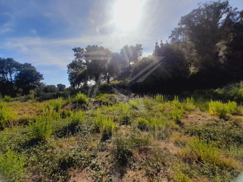 Moradia T3 para Venda em Salir de Matos Foto 16