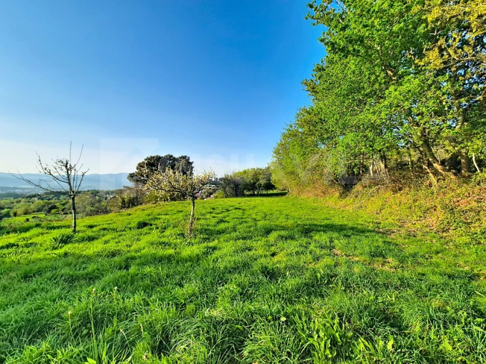 Terreno para Venda em Gandra e Taião Foto 3
