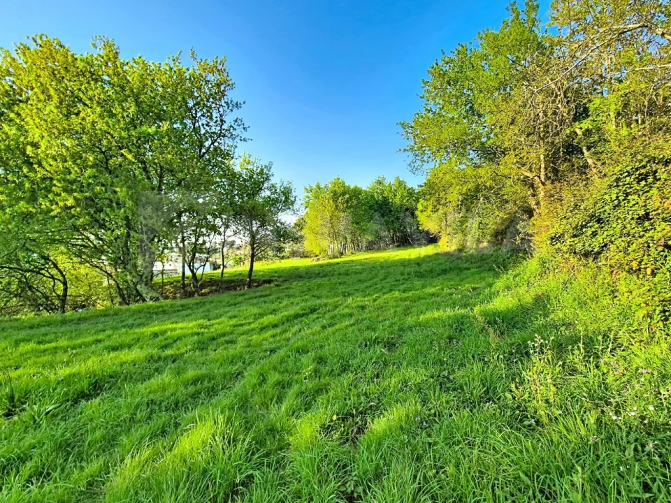 Terreno para Venda em Gandra e Taião Foto 4