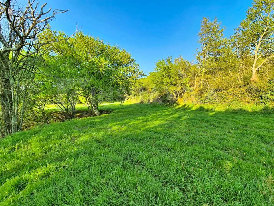 Terreno para Venda em Gandra e Taião Foto 5