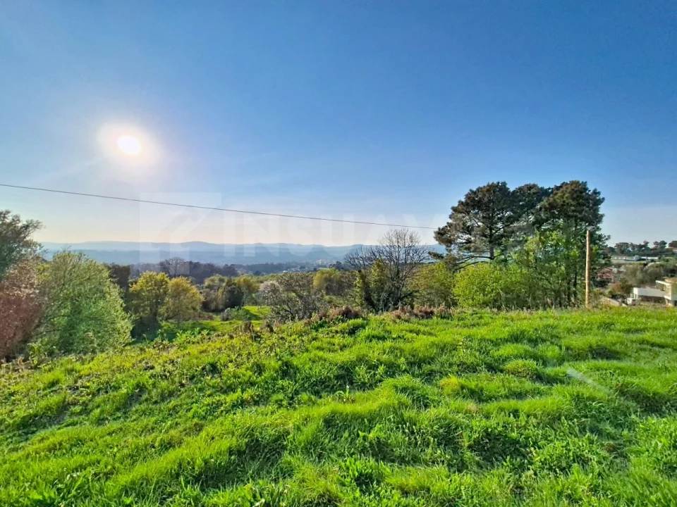 Terreno para Venda em Gandra e Taião Foto 6