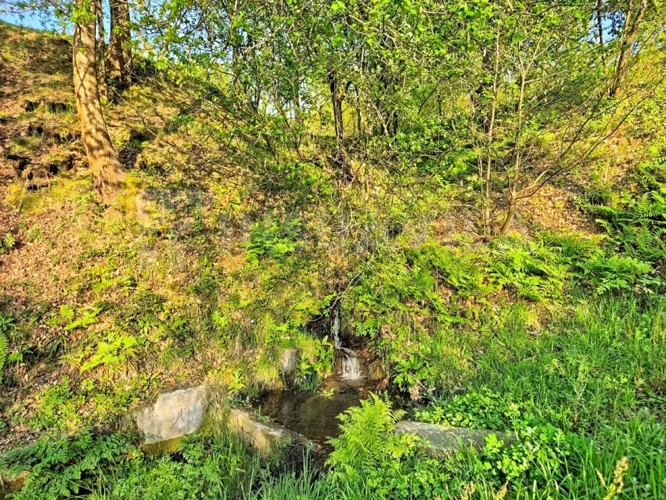 Terreno para Venda em Gandra e Taião Foto 8