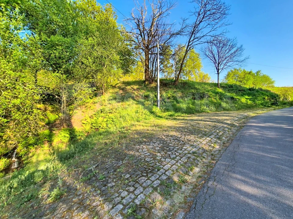 Terreno para Venda em Gandra e Taião Foto 9