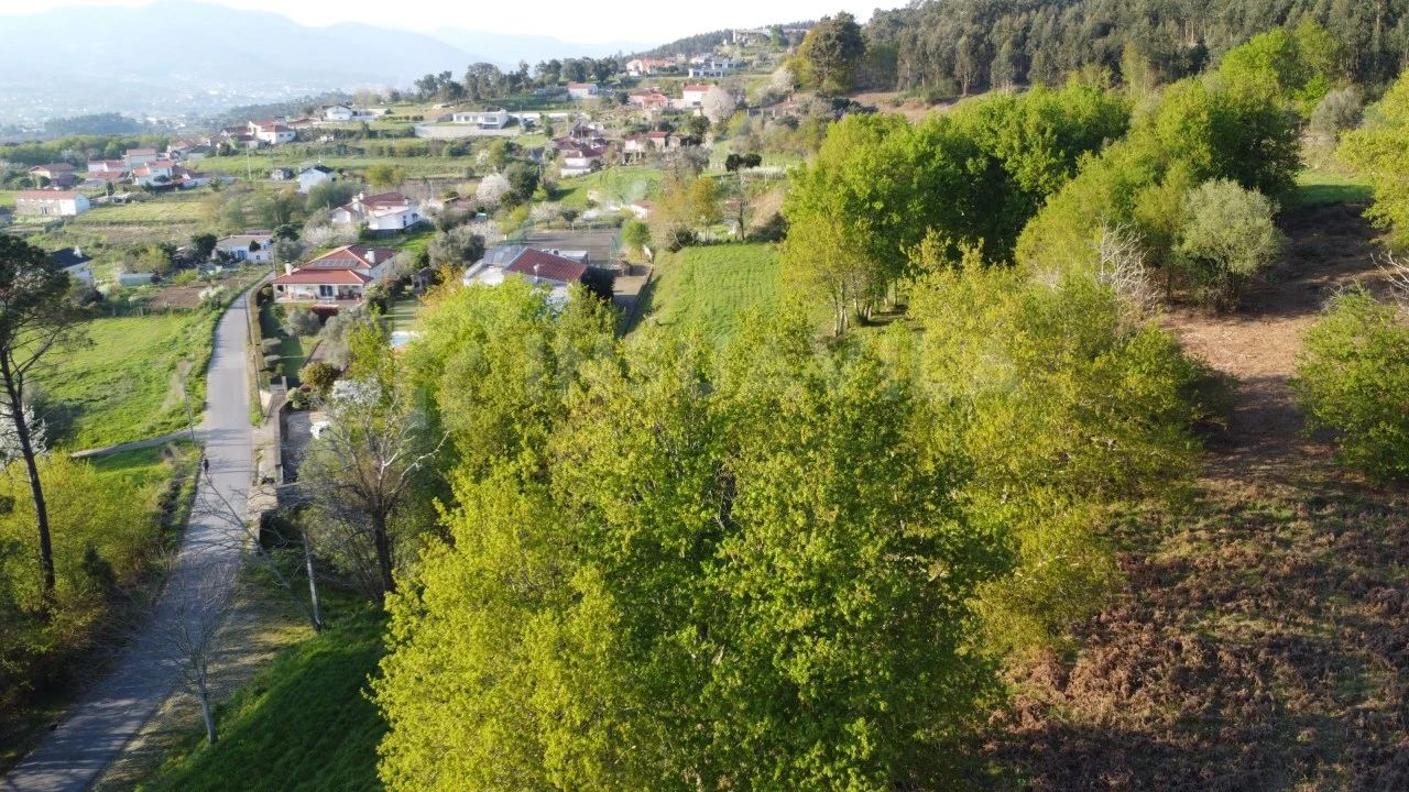 Terreno para Venda em Gandra e Taião Foto 11