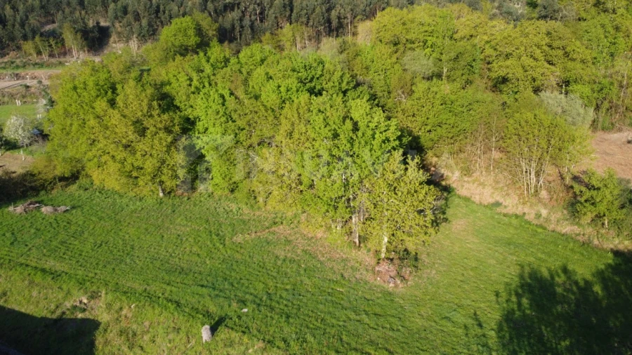 Terreno para Venda em Gandra e Taião Foto 2