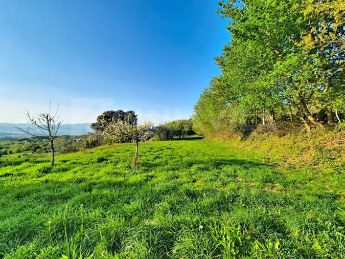 Terreno para Venda em Gandra e Taião Foto 3