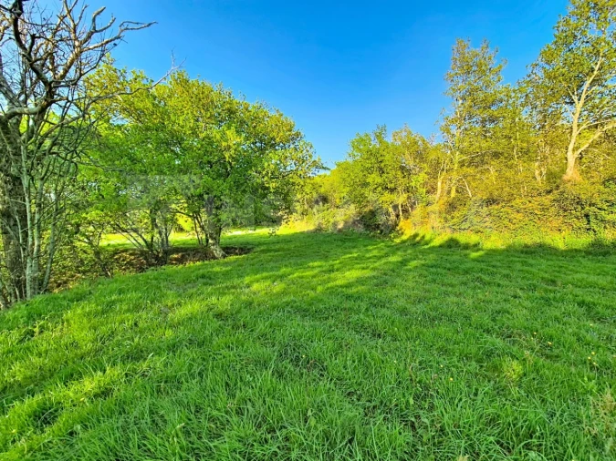 Terreno para Venda em Gandra e Taião Foto 5