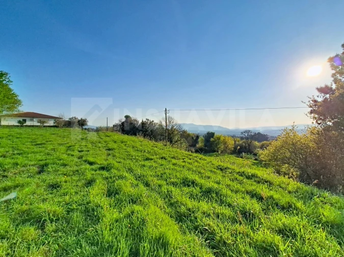Terreno para Venda em Gandra e Taião Foto 7
