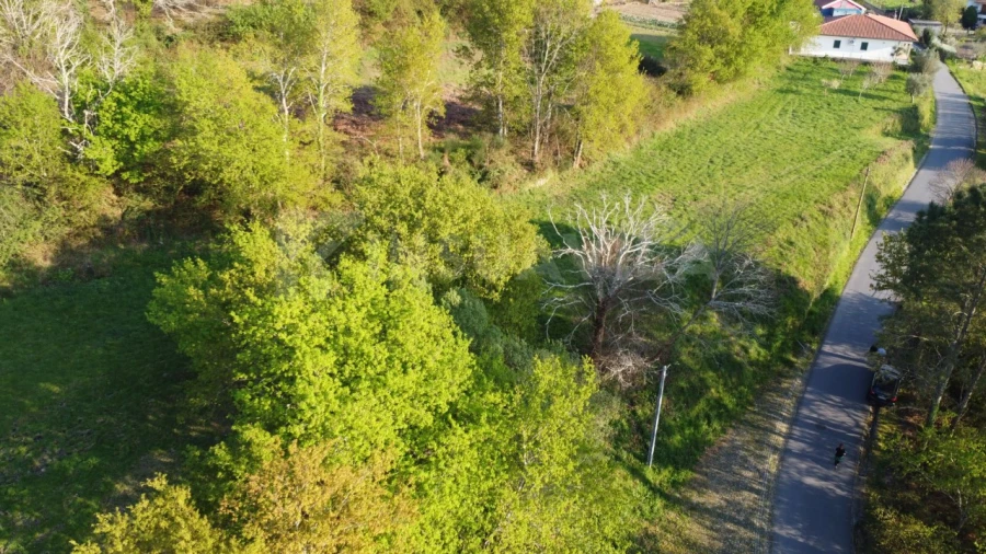 Terreno para Venda em Gandra e Taião Foto 12