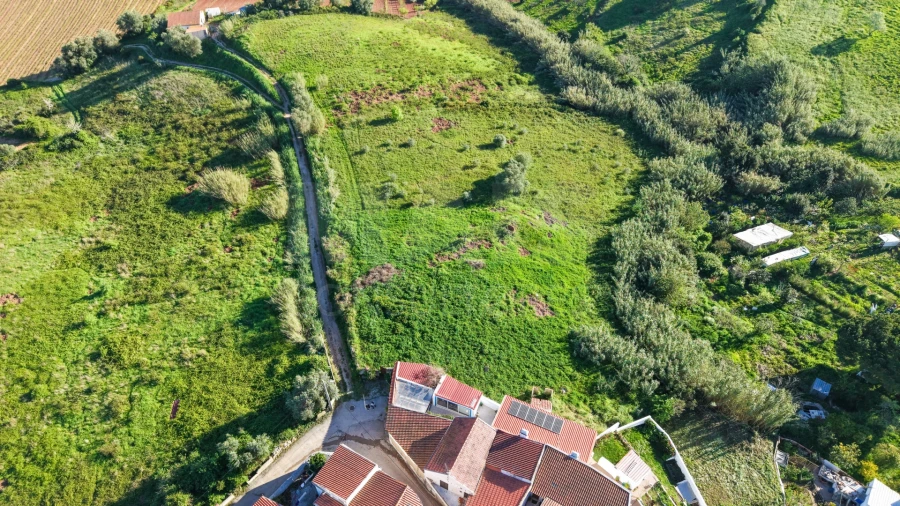 Terreno para Venda em Dois Portos e Runa Foto 2