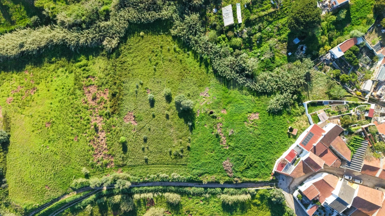 Terreno para Venda em Dois Portos e Runa Foto 7