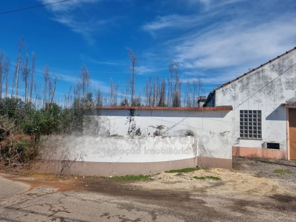 Armazém para Venda em Albergaria-A-Velha e Valmaior Foto 2