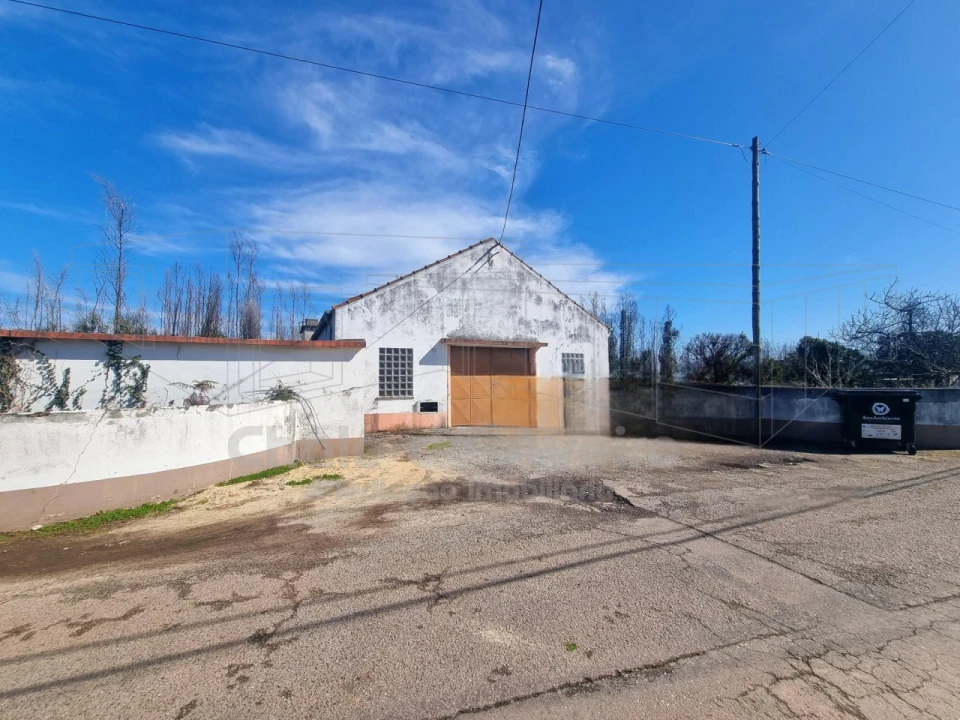 Armazém para Venda em Albergaria-A-Velha e Valmaior Foto 3