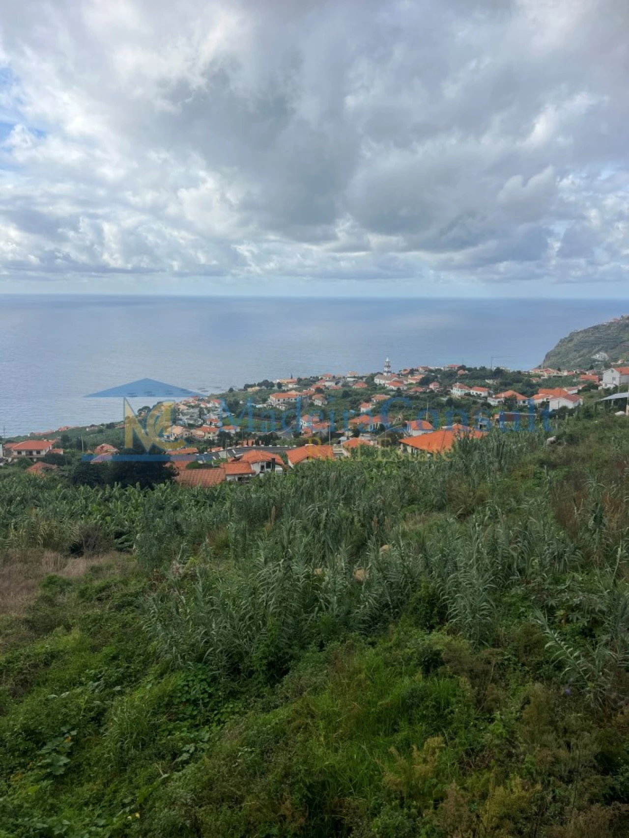 Terreno para Venda em Arco da Calheta Foto 7