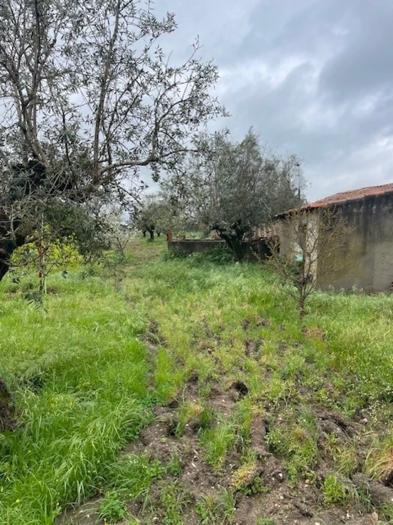 Quinta T3 para Venda em Ponte de Sor, Tramaga e Vale de Açor Foto 21