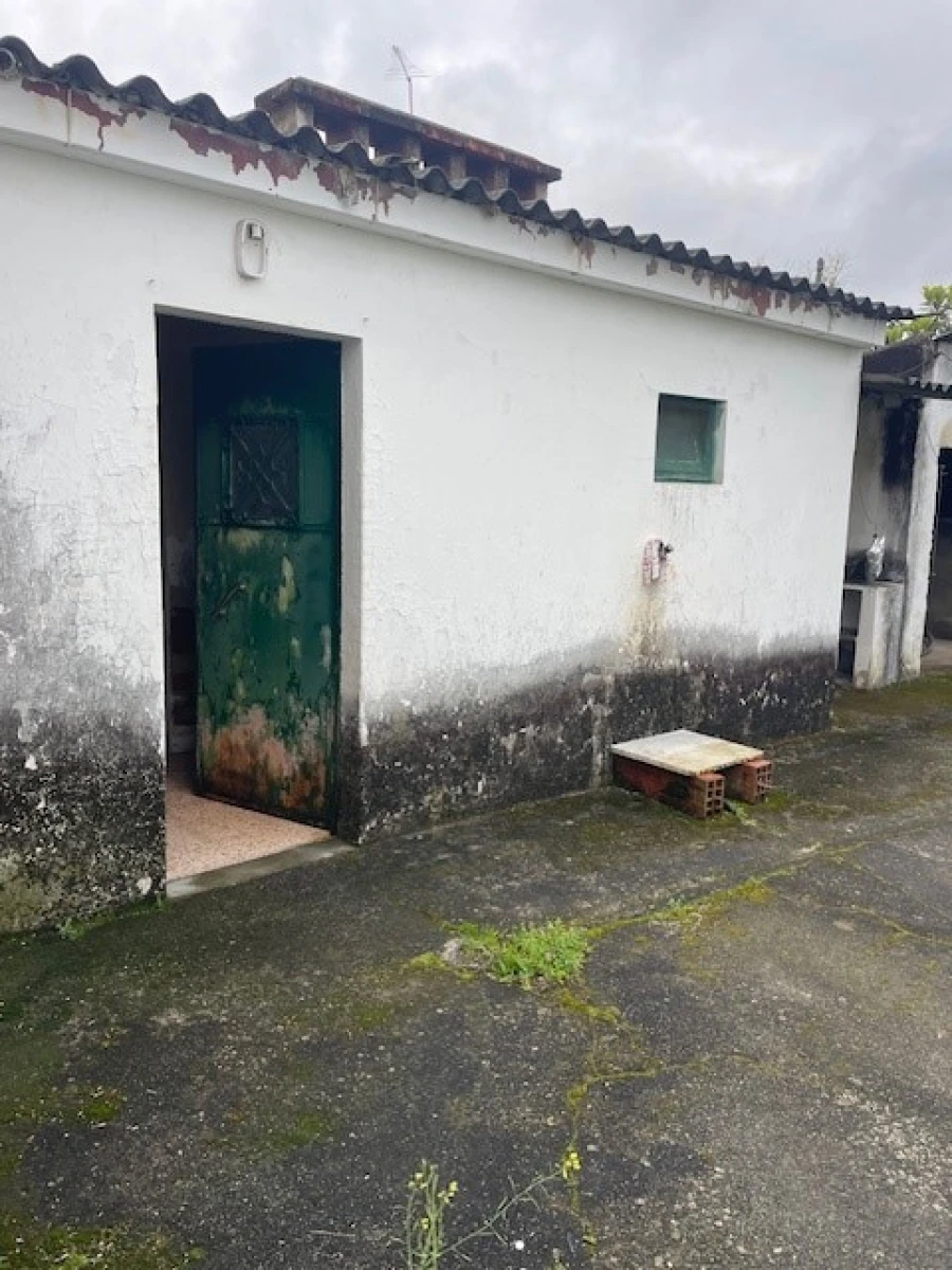 Quinta T3 para Venda em Ponte de Sor, Tramaga e Vale de Açor Foto 14