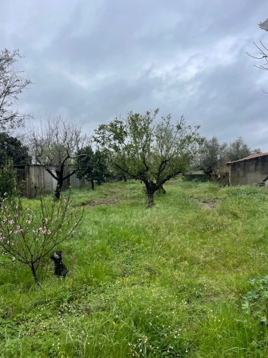 Quinta T3 para Venda em Ponte de Sor, Tramaga e Vale de Açor Foto 18