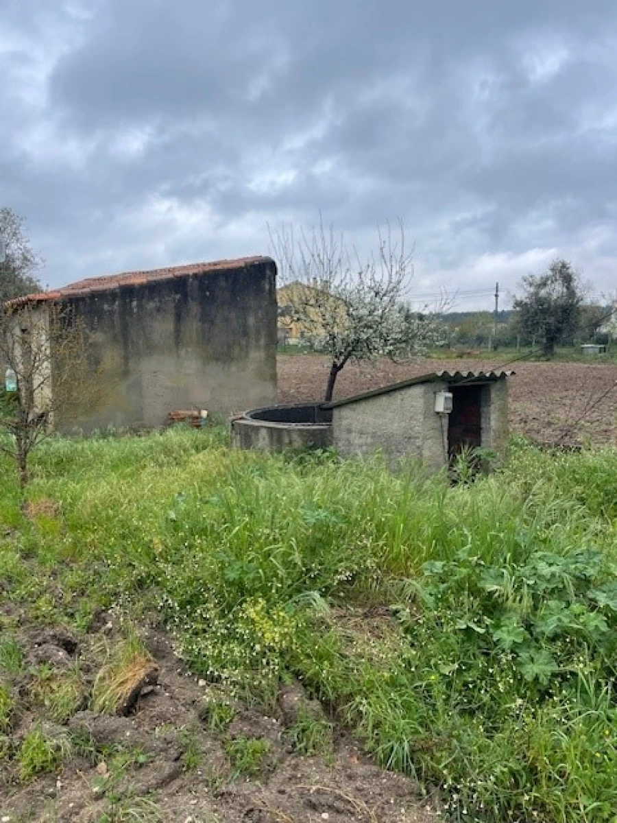 Quinta T3 para Venda em Ponte de Sor, Tramaga e Vale de Açor Foto 20
