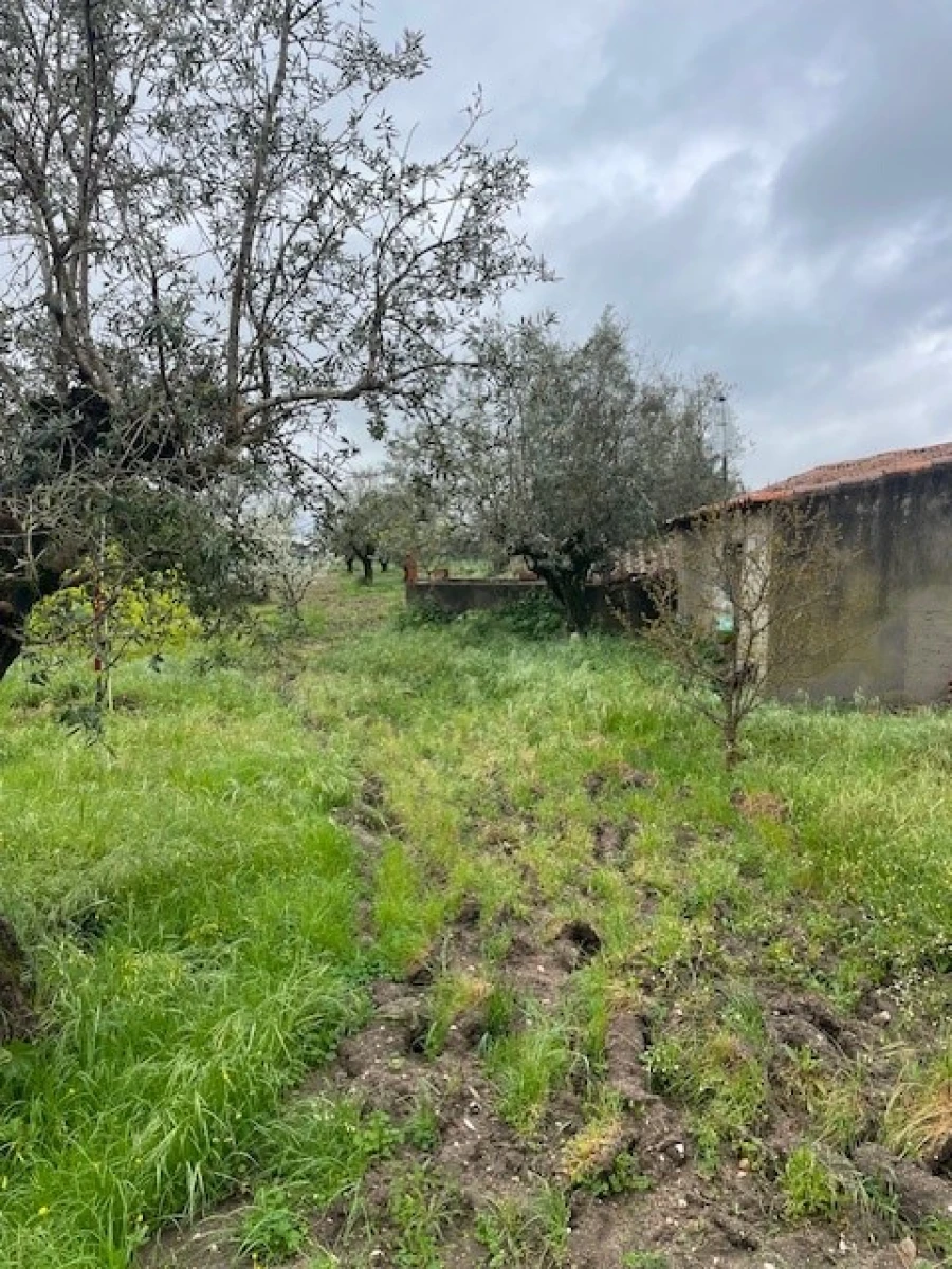 Quinta T3 para Venda em Ponte de Sor, Tramaga e Vale de Açor Foto 21