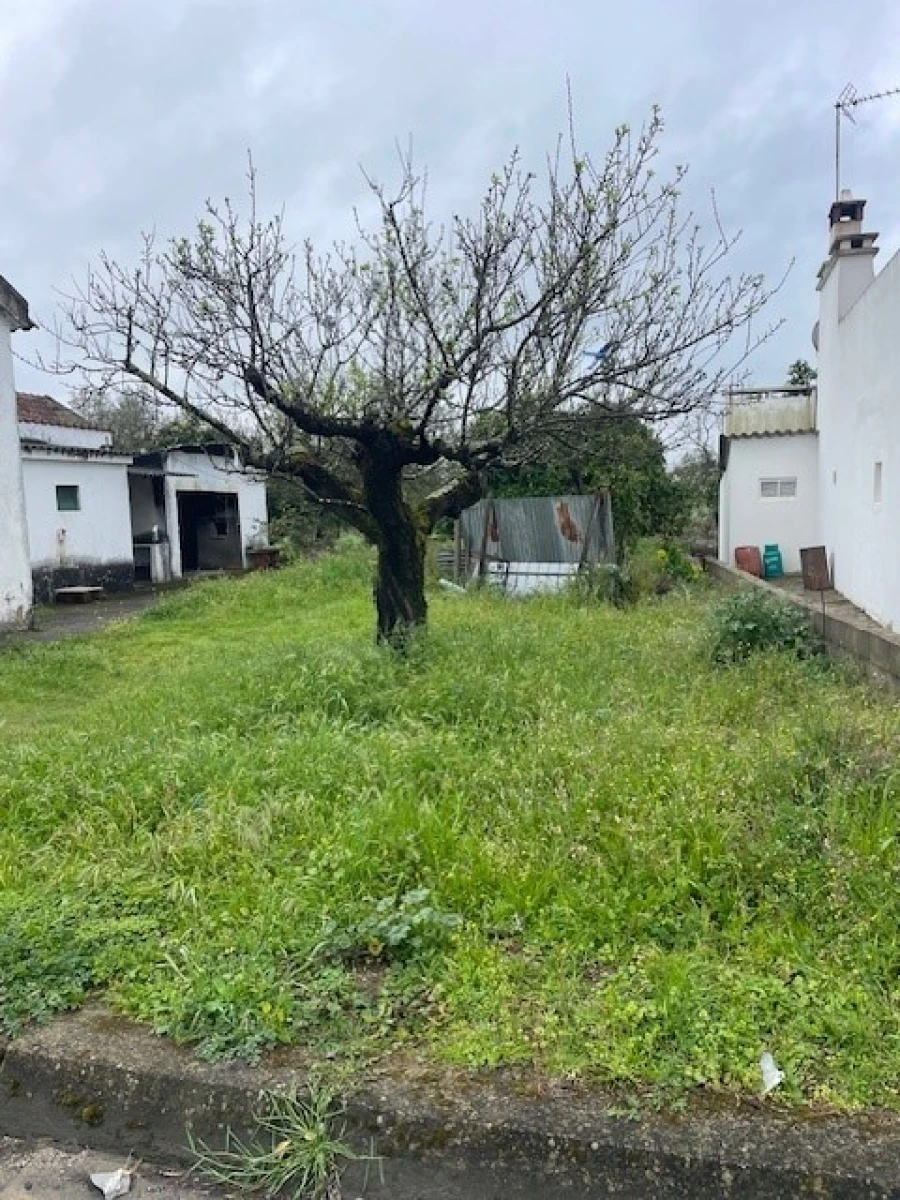 Quinta T3 para Venda em Ponte de Sor, Tramaga e Vale de Açor Foto 23