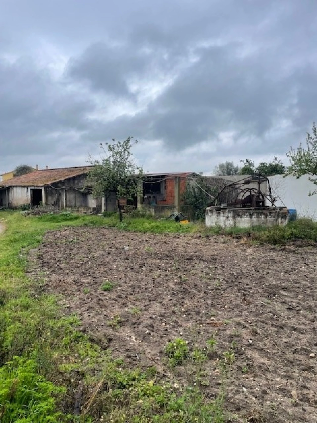 Quinta T3 para Venda em Ponte de Sor, Tramaga e Vale de Açor Foto 12
