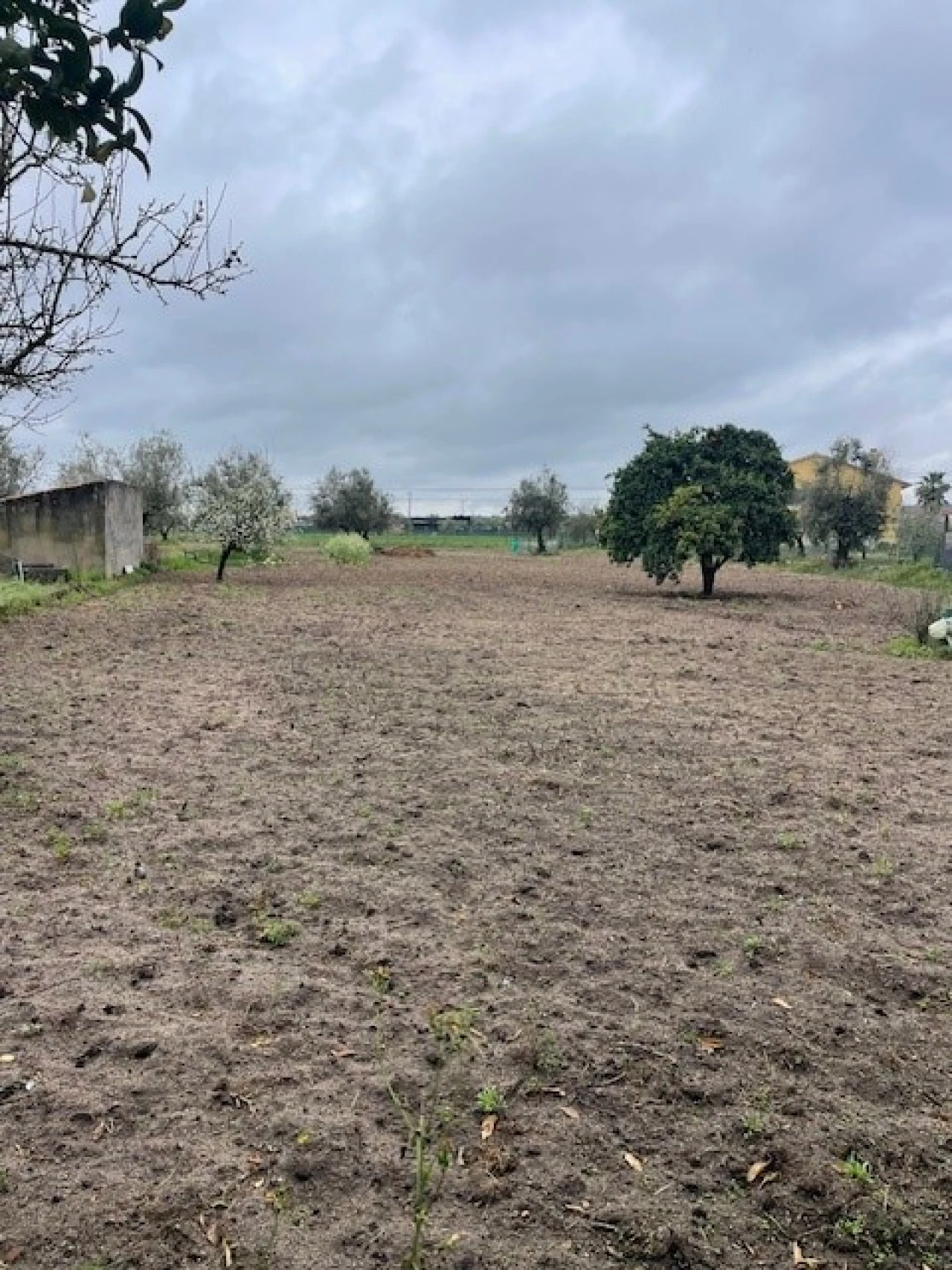 Quinta T3 para Venda em Ponte de Sor, Tramaga e Vale de Açor Foto 16