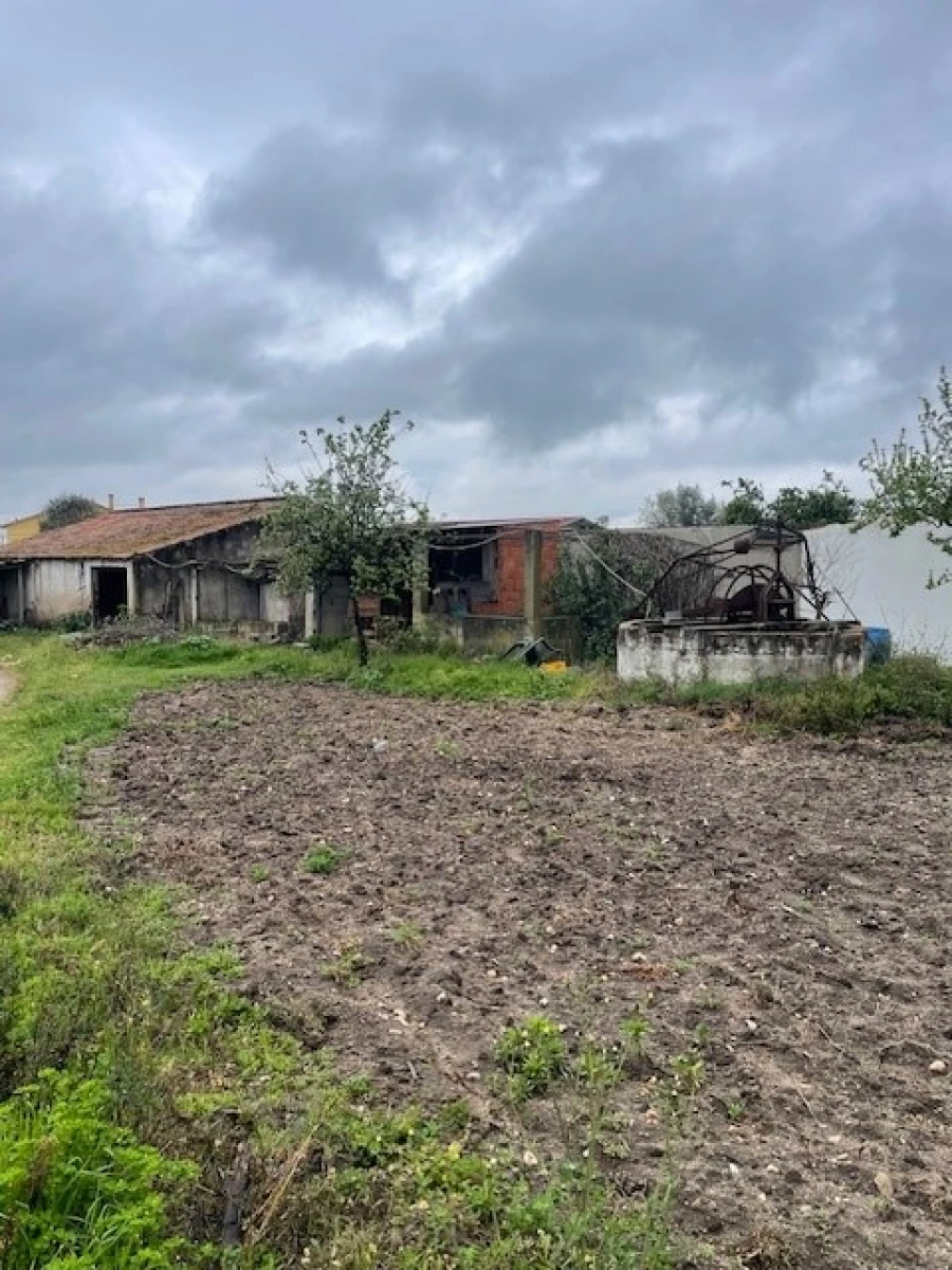 Quinta T3 para Venda em Ponte de Sor, Tramaga e Vale de Açor Foto 12