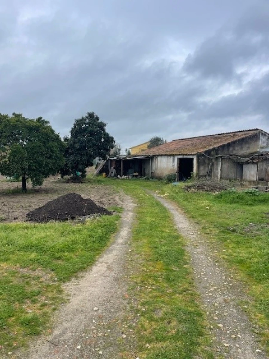 Quinta T3 para Venda em Ponte de Sor, Tramaga e Vale de Açor Foto 13