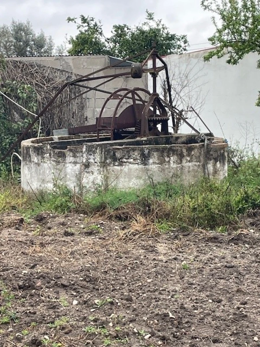 Quinta T3 para Venda em Ponte de Sor, Tramaga e Vale de Açor Foto 14