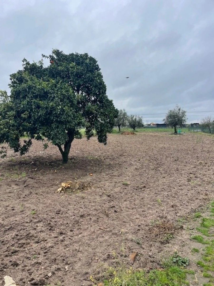 Quinta T3 para Venda em Ponte de Sor, Tramaga e Vale de Açor Foto 15