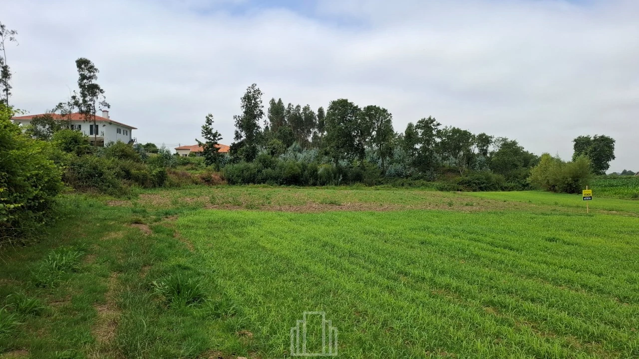 Terreno Agricola ou Rústico para Venda em Valega Foto 2