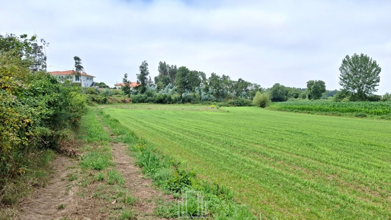 Terreno Agricola ou Rústico para Venda em Valega Foto 3
