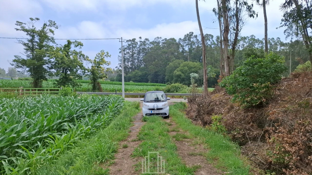 Terreno Agricola ou Rústico para Venda em Valega Foto 5