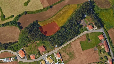 Terreno Agricola ou Rústico para Venda em Valega