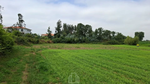 Terreno Agricola ou Rústico para Venda em Valega