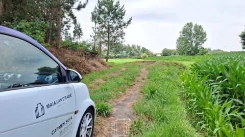 Terreno Agricola ou Rústico para Venda em Valega