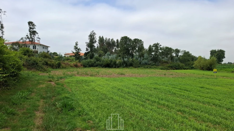 Terreno Agricola ou Rústico para Venda em Valega Foto 2