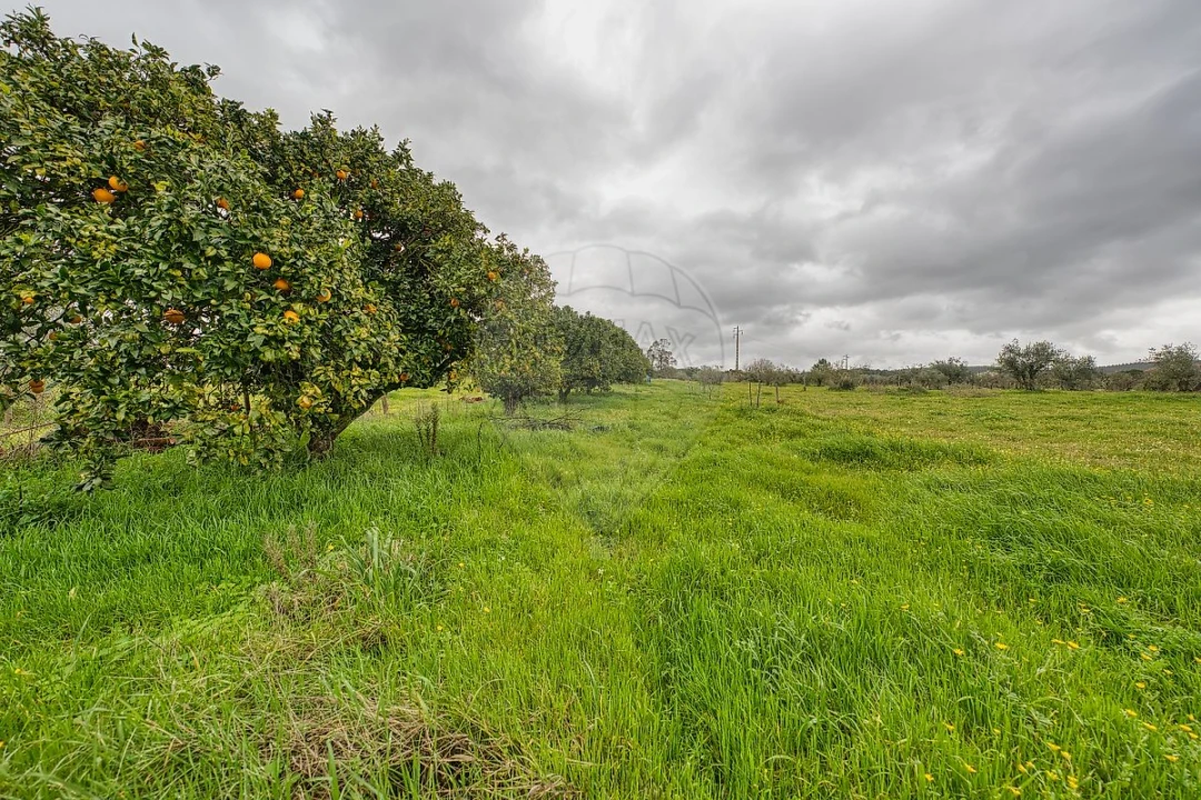 Moradia T2 para Venda em Vale de Cavalos Foto 43