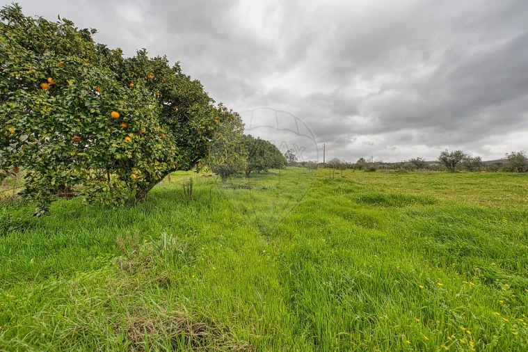 Moradia T2 para Venda em Vale de Cavalos Foto 43
