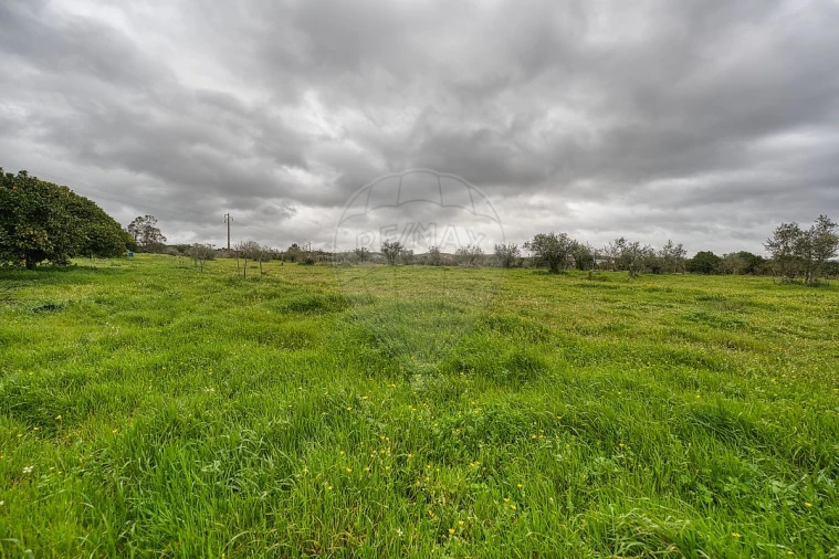 Moradia T2 para Venda em Vale de Cavalos Foto 42