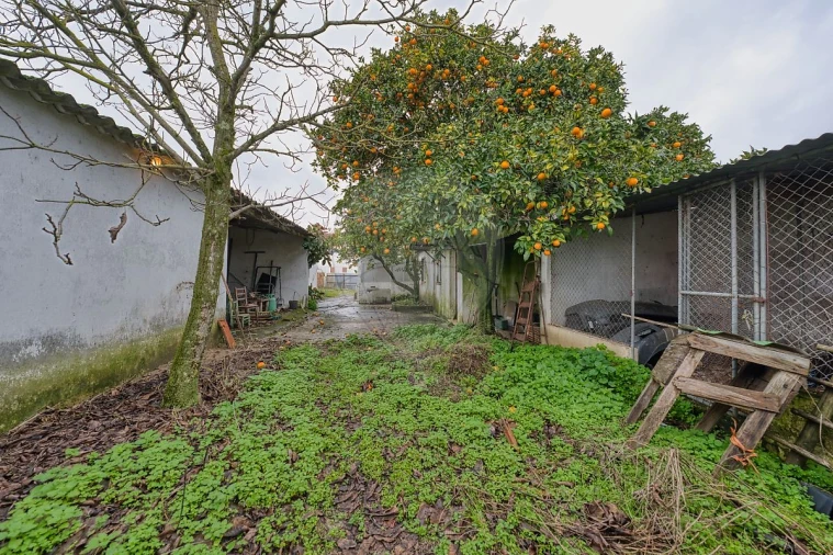 Moradia T2 para Venda em Vale de Cavalos Foto 8