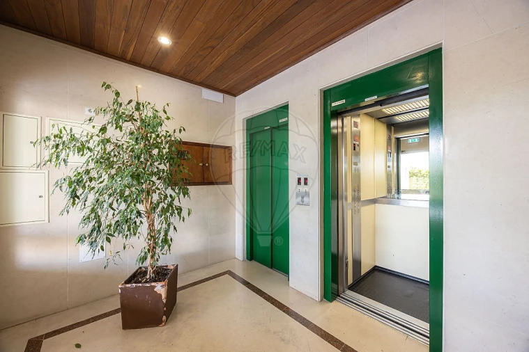 Apartamento T2 para Arrendamento em Santa Maria, São Pedro e Matacães Foto 4