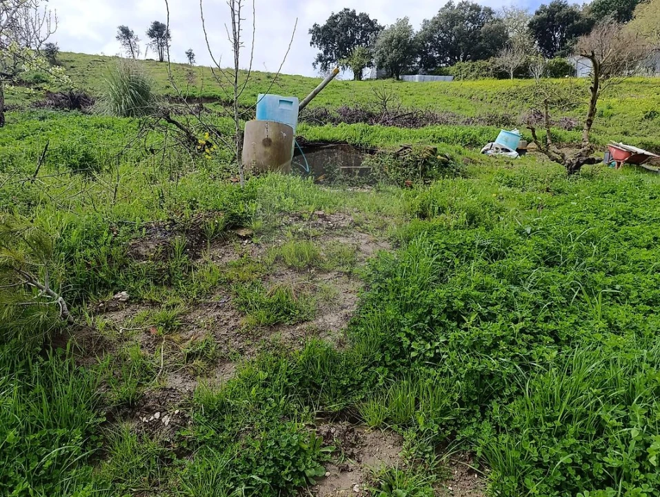 Terreno para Venda em Carvoeira e Carmões Foto 2