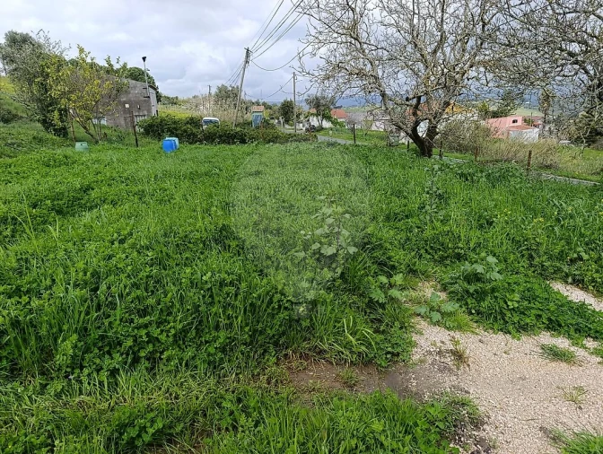 Terreno para Venda em Carvoeira e Carmões Foto 5