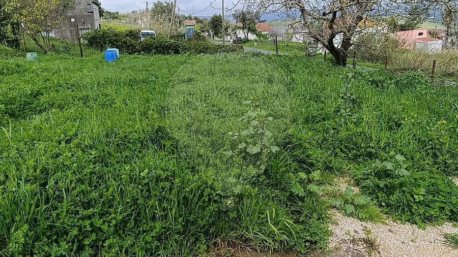 Terreno para Venda em Carvoeira e Carmões