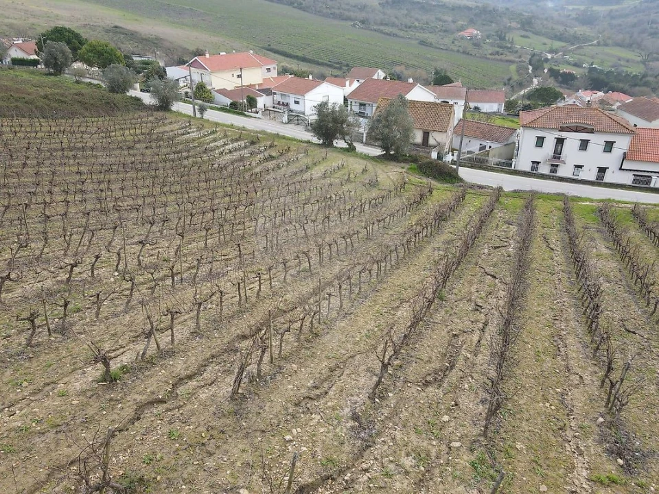 Terreno para Venda em Santo Quintino Foto 4